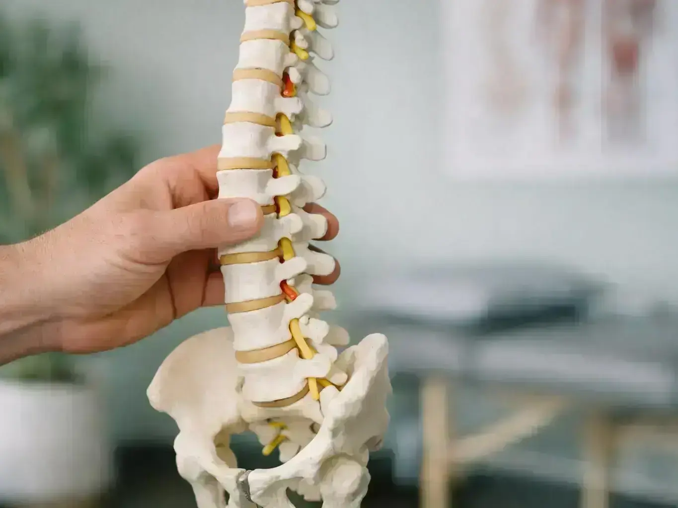 What Is Ligament? Definition, Examples & FAQs — team at work